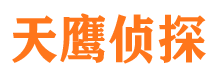 河东区市侦探调查公司